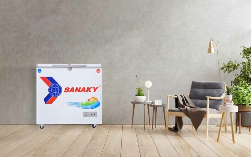 Tủ đông Sanaky VH-2599A1 phù hợp với ai