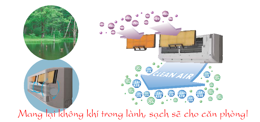 Chế độ tự làm sạch mang lại không khí trong lành cho căn phòng của bạn