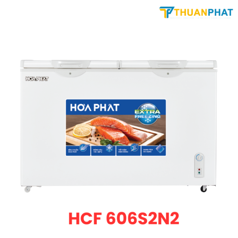 Tủ đông Hòa Phát 241 Lít HCF 606S2N2