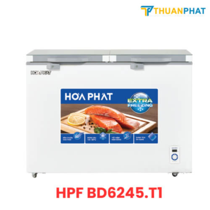 Tủ đông Hòa Phát 2 cánh 245 Lít HPF BD6245.T1