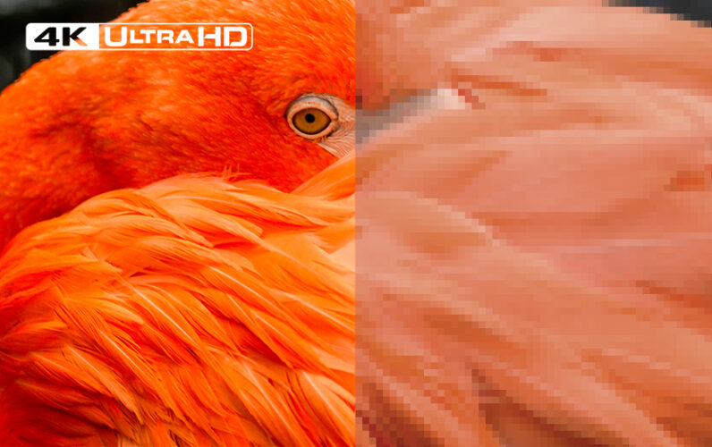 DO PHAN GIAI 4K SAC NET