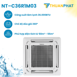 NT–C36R1M03