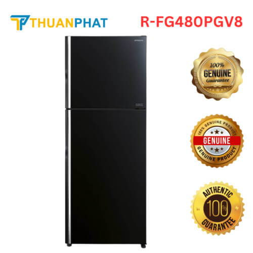 R FG480PGV8