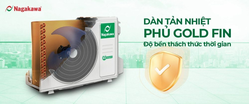 dan nong ben bi dan nong ben bi