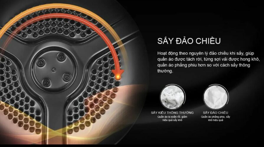 say dao chieu