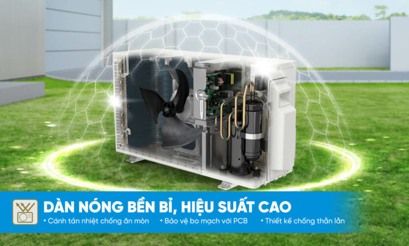 dan nong ben bi