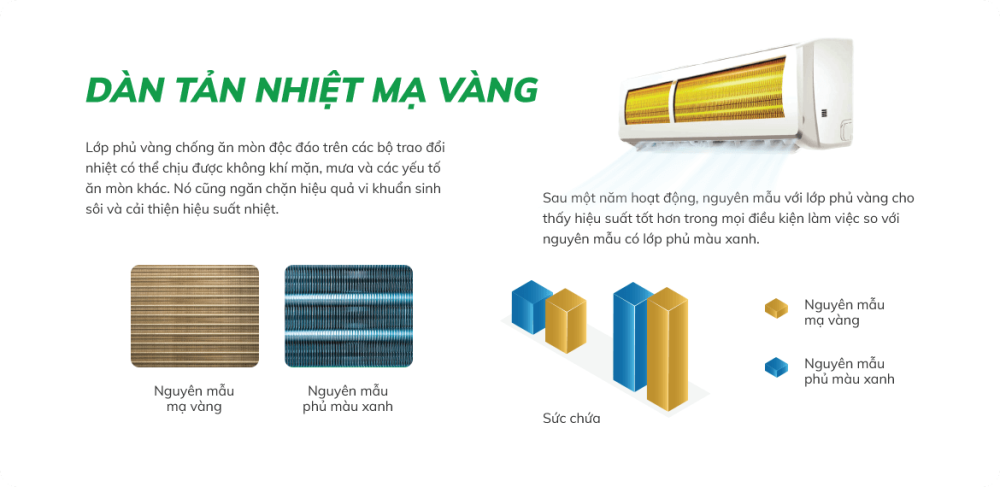 dan tan nhiet ma vang dan tan nhiet ma vang