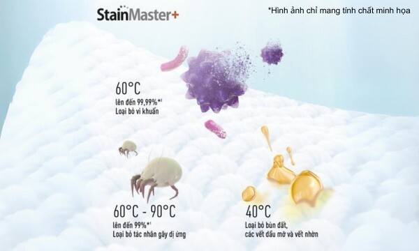 Loại bỏ vết bẩn cứng đầu