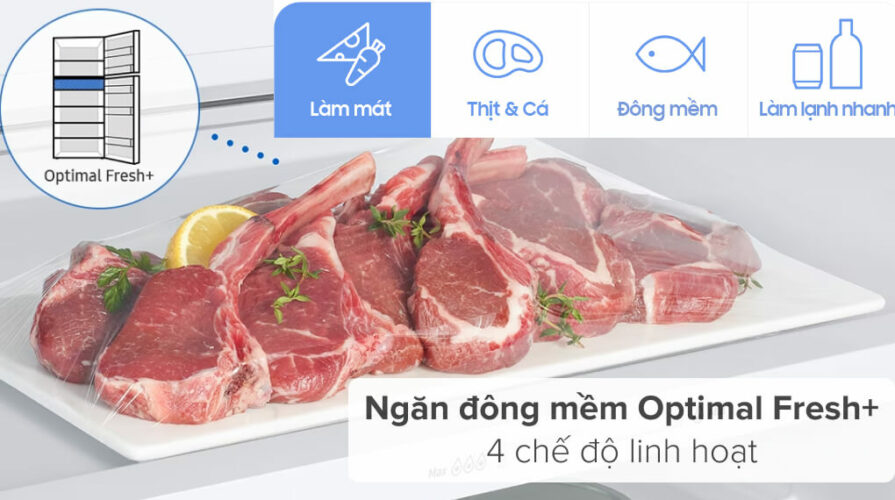 cong nghe lam lanh va bao quan thuc pham