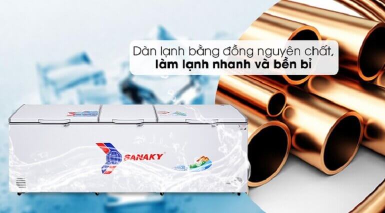 dan lanh dong td sanaky