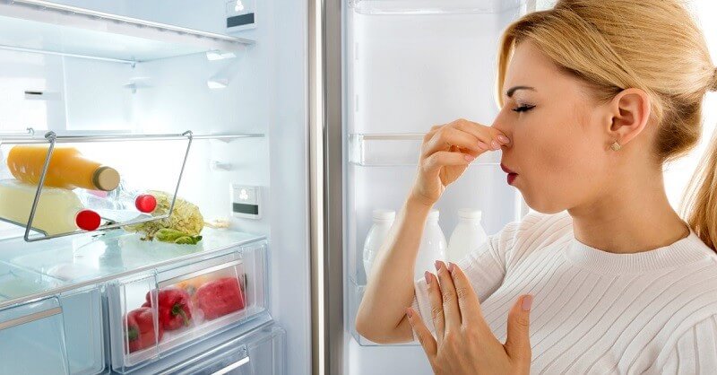 Lý do bạn nên vệ sinh tủ lạnh thường xuyên