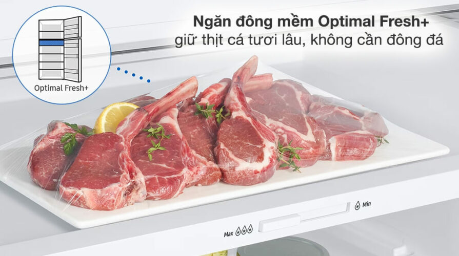 samsung inverter 460 lit ngăn đông mềm