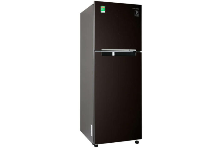 Tủ lạnh samsung 236 lít rt22m4040dx/sv