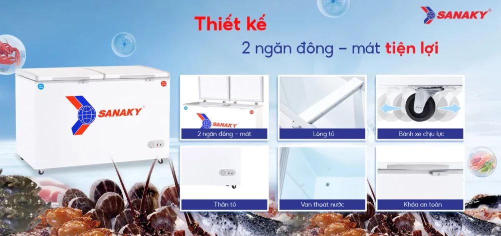thiet ke tien loi