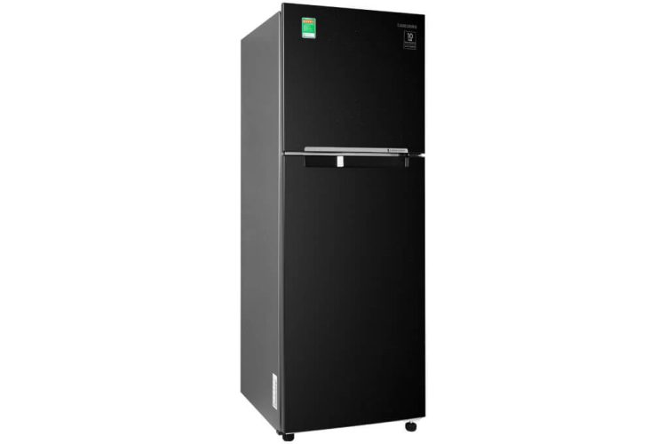 Tủ lạnh Samsung RT22M403BU/SV
