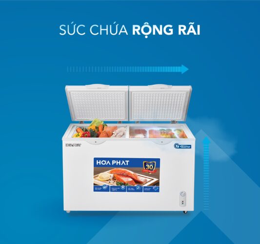 Tủ đông Hòa Phát được thiết kế với nhiều mức dung tích khác nhau, từ nhỏ gọn cho gia đình đến dung tích lớn phục vụ kinh doanh.